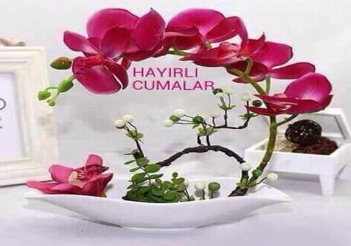 En Güzel Resimli Cuma Mesajları 2016 Cuma Gecesi Duası Cuma Suresi Tebrik Kartları